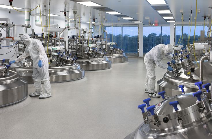 API Manufacturing Facility